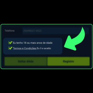 Concordar com os termos e condições